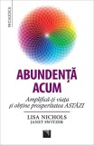 Abundenta acum. Amplifica-ti viata si obtine prosperitatea ASTaZI - Niculescu