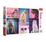 Cumpara ieftin Puzzle Trefl super pisici neon, 1000 piese