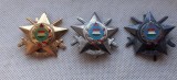 UNGARA INSIGNA MILITARA