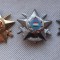 UNGARA INSIGNA MILITARA