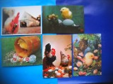 HOPCT LOT NR 1022 PASARI DOMESTICE -FAUNA -5 CARTI POSTALE-NECIRCULATE