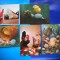 HOPCT LOT NR 1022 PASARI DOMESTICE -FAUNA -5 CARTI POSTALE-NECIRCULATE