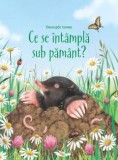 Cumpara ieftin Ce Se Intampla Sub Pamant , Emily Bone - Editura Univers Enciclopedic