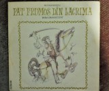 LP (vinil, vinyl) Povesti, Teatru Radiofonic - "Fat Frumos din Lacrima"