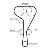 Curea distributie Nissan: Primastar (X83); Opel: Vivaro A (X83); Renault: Clio 3, Espace 4, Grand Scenic 2, Laguna Coupe, Laguna 2 3, Megane 2, Sceni