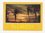 FA23-Carte Postala- SUA- Florida , circulata 1987, Fotografie