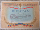 Diploma Uniunea de Cultura Fizica si Sport SAH Timisoara banat 1960 RPR