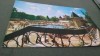 CARTE POSTALA ORADEA - BAILE FELIX -STRANDUL APOLO CIRCULATA, Fotografie