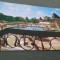 CARTE POSTALA ORADEA - BAILE FELIX -STRANDUL APOLO CIRCULATA