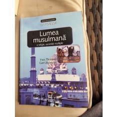 LUMEA MUSULMANA - YVES THORAVAL