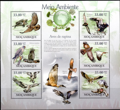 MOZAMBIC 2010, Fauna, Pasari, serie neuzata, MNH foto