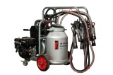 Aparat de muls vaci Melasty galvanizat, motor pe benzina, 2 posturi si bidon aluminiu 40 L