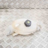 Vas de expansiune RENAULT MASTER III Furgon FV 2016 OEM: 217100015R 11309494