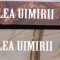 AMS - BASARB NICOLESCU - DE LA ISARLIK LA VALEA UIMIRII (AUT. PTR. M. VISNIEC)