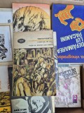 Sadoveanu Creanga de aur 1 vintage