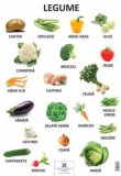 Plansa Legume - Editura DPH