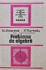 Probleme de algebra - 1989 - C. Cosnita (R212), Tehnica