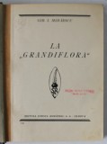 LA &#039; GRANDIFLORA &#039; de GIB I. MIHAESCU , EDITIE INTERBELICA