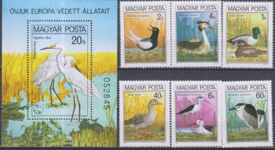 Timbre cu păsări acvatice din Ungaria foto
