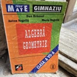 Algebra geometrie clada a VII-a - Dan Branzei