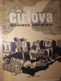 CIRLOVA, RUINURILE TIRGOVISTII-MARIN SORESCU