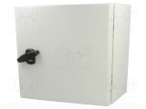 Carcasă montare pe perete SCHNEIDER ELECTRIC 300mm x 300mm x 150mm oţel gri