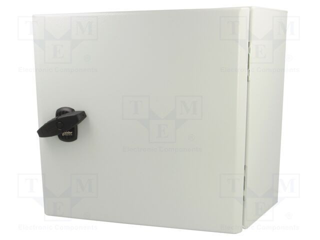 Carcasă montare pe perete SCHNEIDER ELECTRIC 300mm x 300mm x 150mm oţel gri
