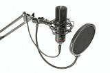 Cumpara ieftin Microfon profesional pentru Streaming si Podcast