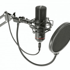 Microfon profesional pentru Streaming si Podcast