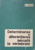 DETERMINAREA SI DIFERENTIEREA SEXUALA LA VERTEBRATE-V. PREDA-220953