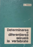 DETERMINAREA SI DIFERENTIEREA SEXUALA LA VERTEBRATE-V. PREDA