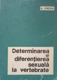 DETERMINAREA SI DIFERENTIEREA SEXUALA LA VERTEBRATE-V. PREDA-266185