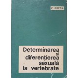 DETERMINAREA SI DIFERENTIEREA SEXUALA LA VERTEBRATE-V. PREDA-266185
