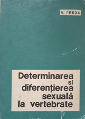 DETERMINAREA SI DIFERENTIEREA SEXUALA LA VERTEBRATE-V. PREDA foto