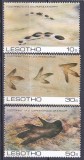 DB1 Fauna Urme Fosilizate Dinozaur Lesotho 3 v. MNH