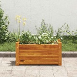 VidaXL Strat &icirc;nălțat de grădină, 50x25x25 cm, lemn de acacia