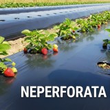 Folie de mulcire 1,5 m, 30 microni , neagra, rola 1000 m