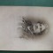 fotografie galerie atelier , anul 1890 ,dimensiuni 11cm x 6 cm, doamna