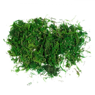 Iarbă Decorativă Crăciun, 30g, Verde foto