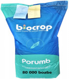 Seminte Porumb Norico FAO 240 sac 80 000