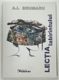 LECTIA LABIRINTULUI de A.I. BRUMARU, 2012