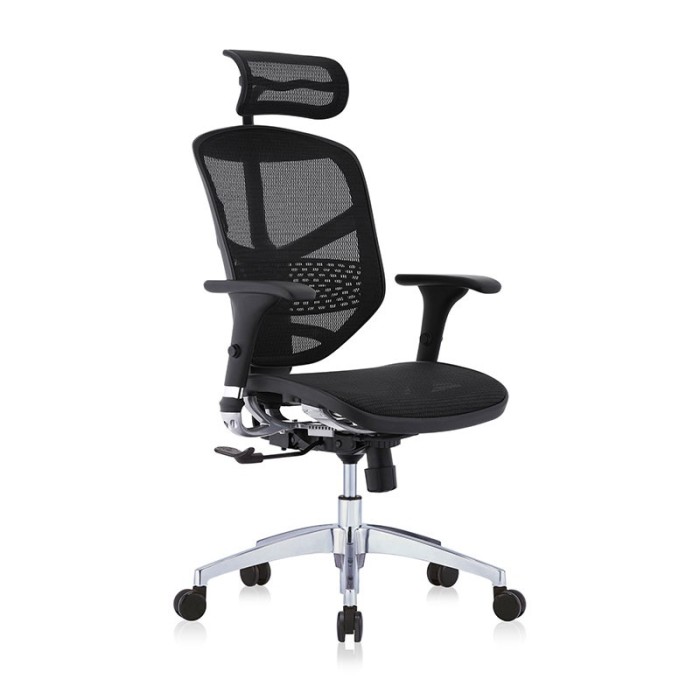 SCAUN ERGONOMIC ENJOY BASIC PDH