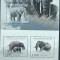 REP.BURUNDI - ELEFANTI-1 M/SH.+ 1 S/SH.-MNH** - RBU 51