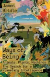 Ways of Being: Animals, Plants, Machines: The Search for a Planetary Intelligence