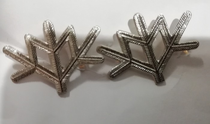 S 17 - semne de arma - metalice - vanatori munte - argintii