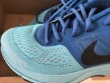 Incaltaminte sport Nike Pegasus 30