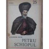 PETRU SCHIOPUL-GH. DAVID-257920
