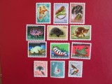 PAUPA NEW GUINEA SERIE MNH=99
