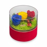 Aranjament tricolor cu trandafiri criogenati , in cutie catifea cu capac detasabil