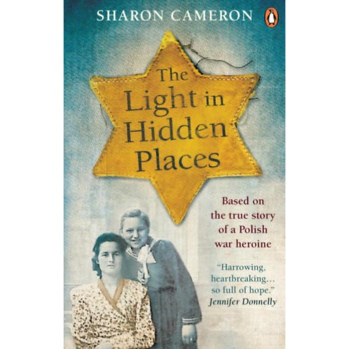 The Light in Hidden Places - Sharon Cameron